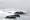 分享一个摄影平台：Unsplash