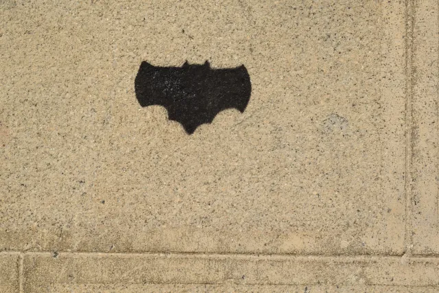 I am BatMan!