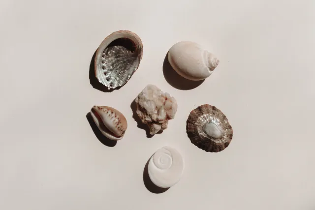 macOS中Spotify的主题替换